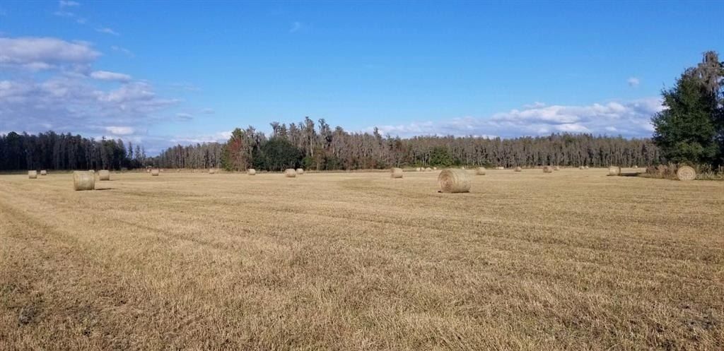 0 Moore Road, Lakeland, FL 33809 Photo