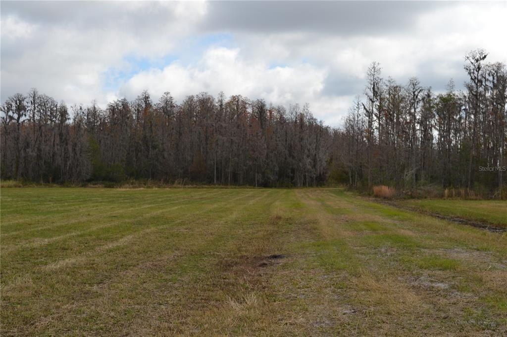 0 Moore Road, Lakeland, FL 33809 Photo