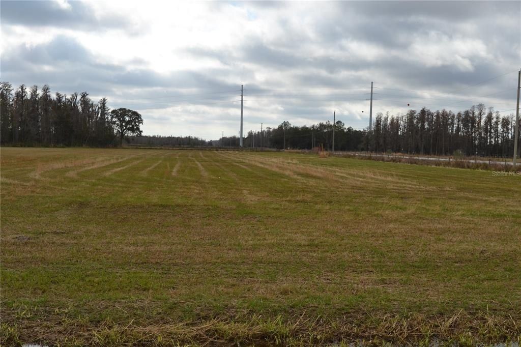 0 Moore Road, Lakeland, FL 33809 Photo