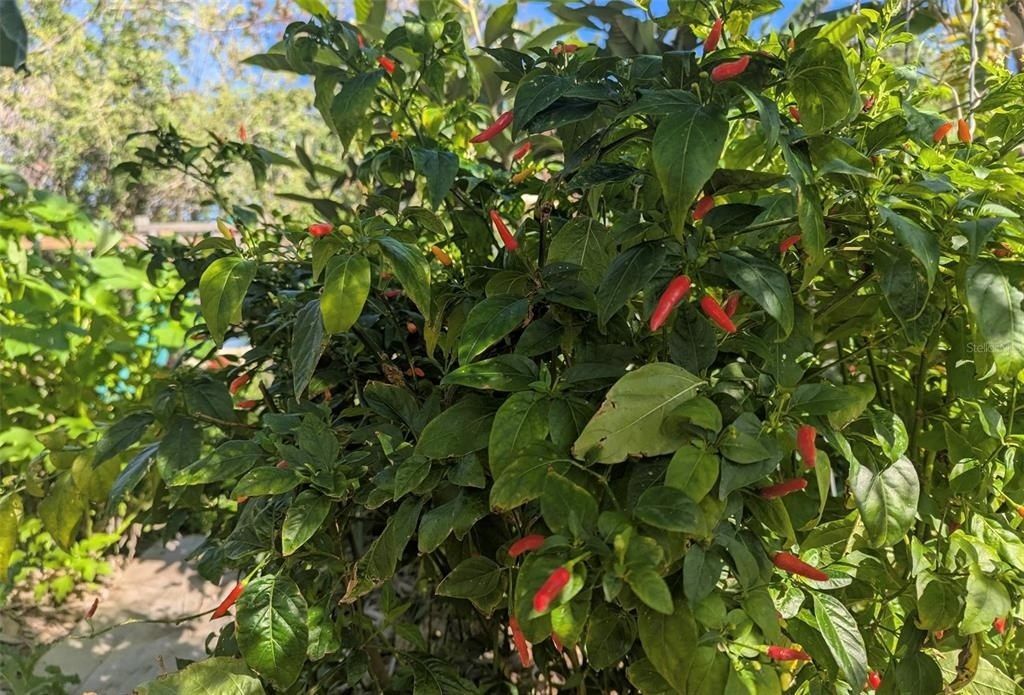 0 Davis Road, Mims, FL 32754 Photo