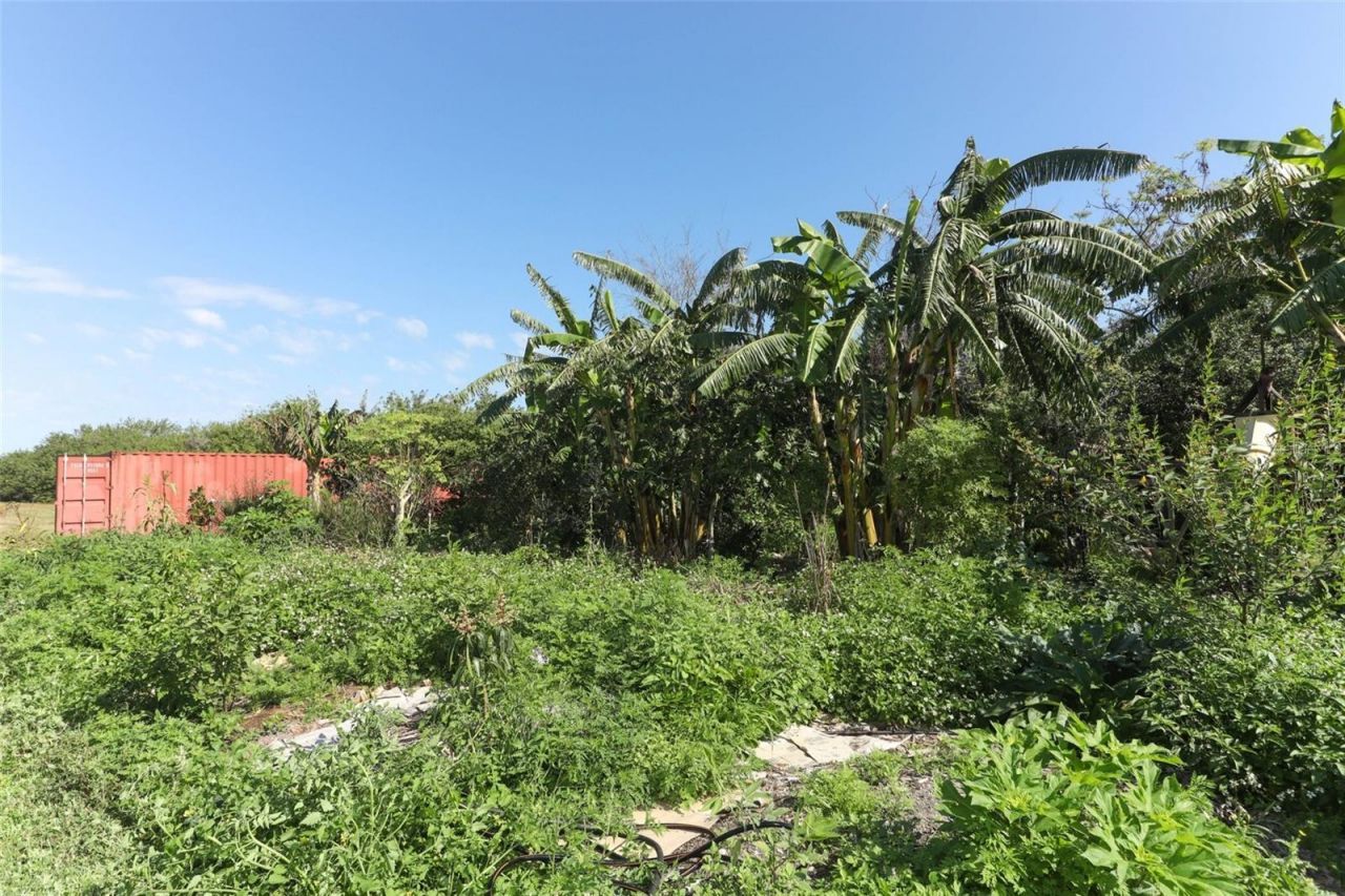 0 Davis Road, Mims, FL 32754 Photo