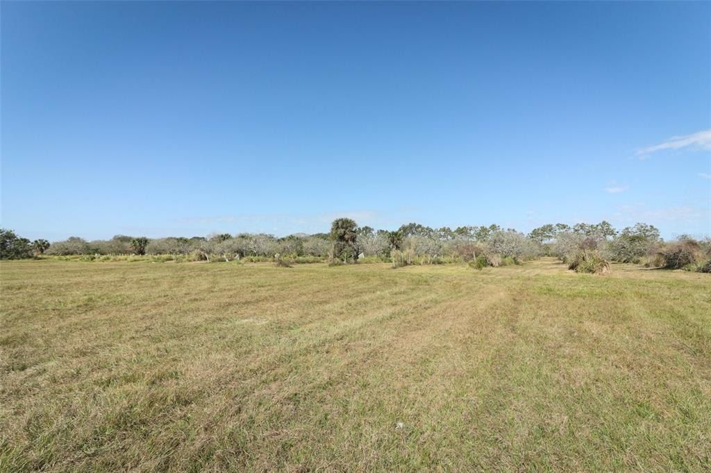 0 Davis Road, Mims, FL 32754 Photo