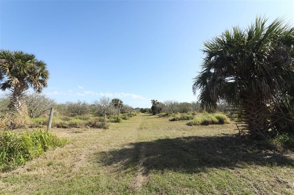 0 Davis Road, Mims, FL 32754 Photo