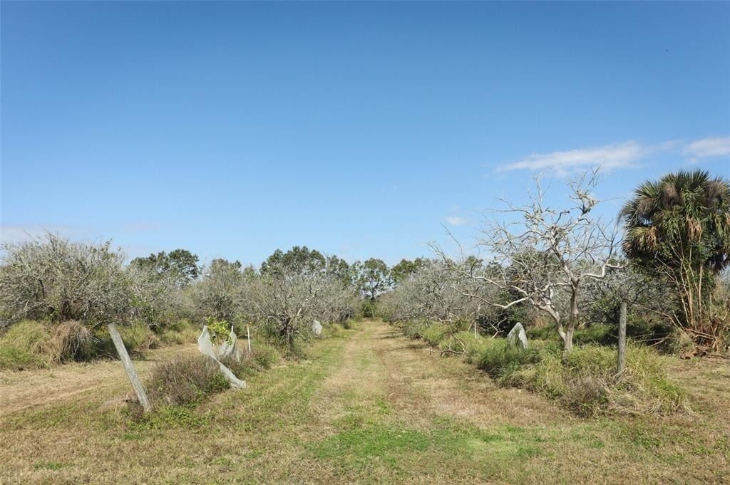 0 Davis Road, Mims, FL 32754 Photo