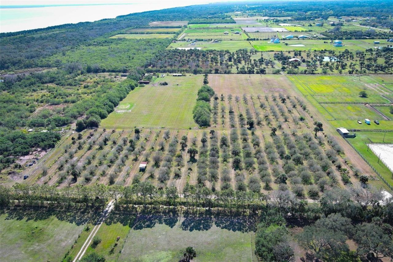 0 Davis Road, Mims, FL 32754 Photo