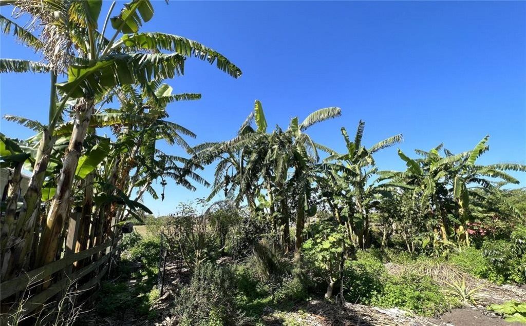 0 Davis Road, Mims, FL 32754 Photo