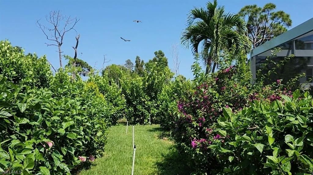 10800 Habitat Cir, Bokeelia, FL 33922 Photo