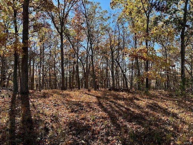 5046 Squire Lane, Cedar Hill, MO 63016 Main Photo