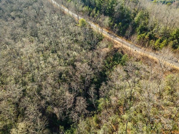 99999 Mills River Way, Horse Shoe, NC 28742