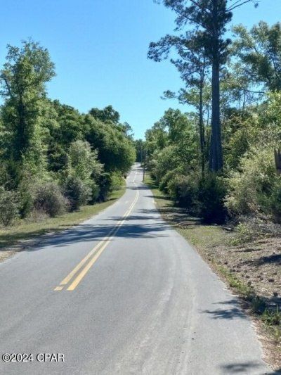 00 Tommy Tucker Road, Lot #Lot 5, Altha, FL 32421 Main Photo