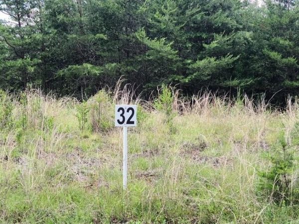 Lot 32 Dillards Hill RD, Union Hall, VA 24176