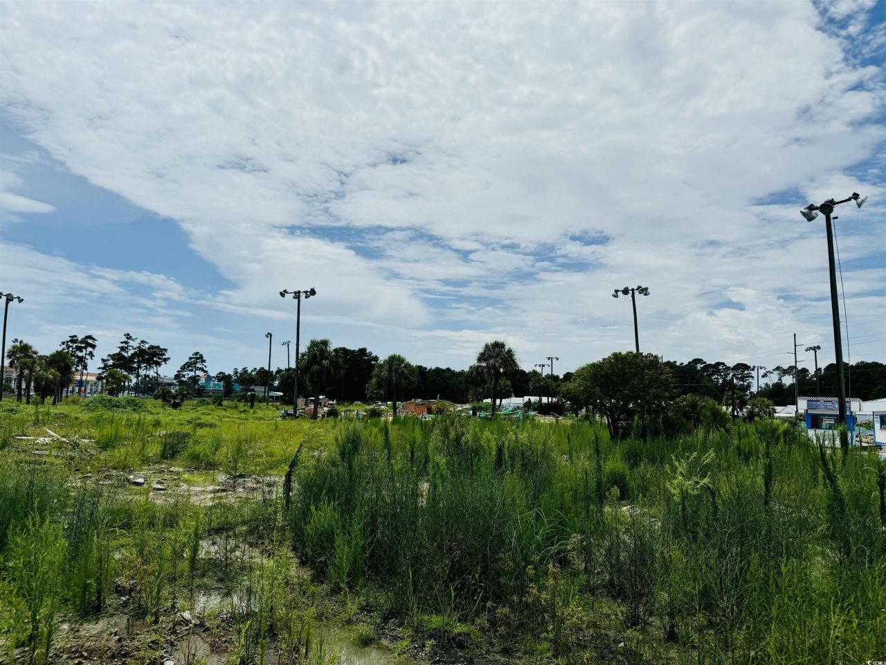 910 Highway 17 Business Photo 19