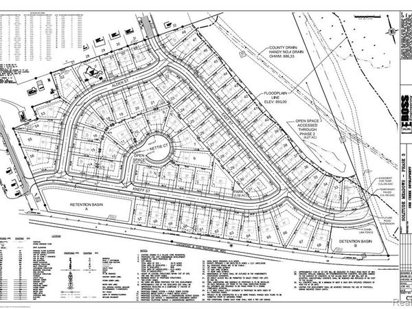 555 DAILEY Street, Fowlerville Vlg, MI 48836
