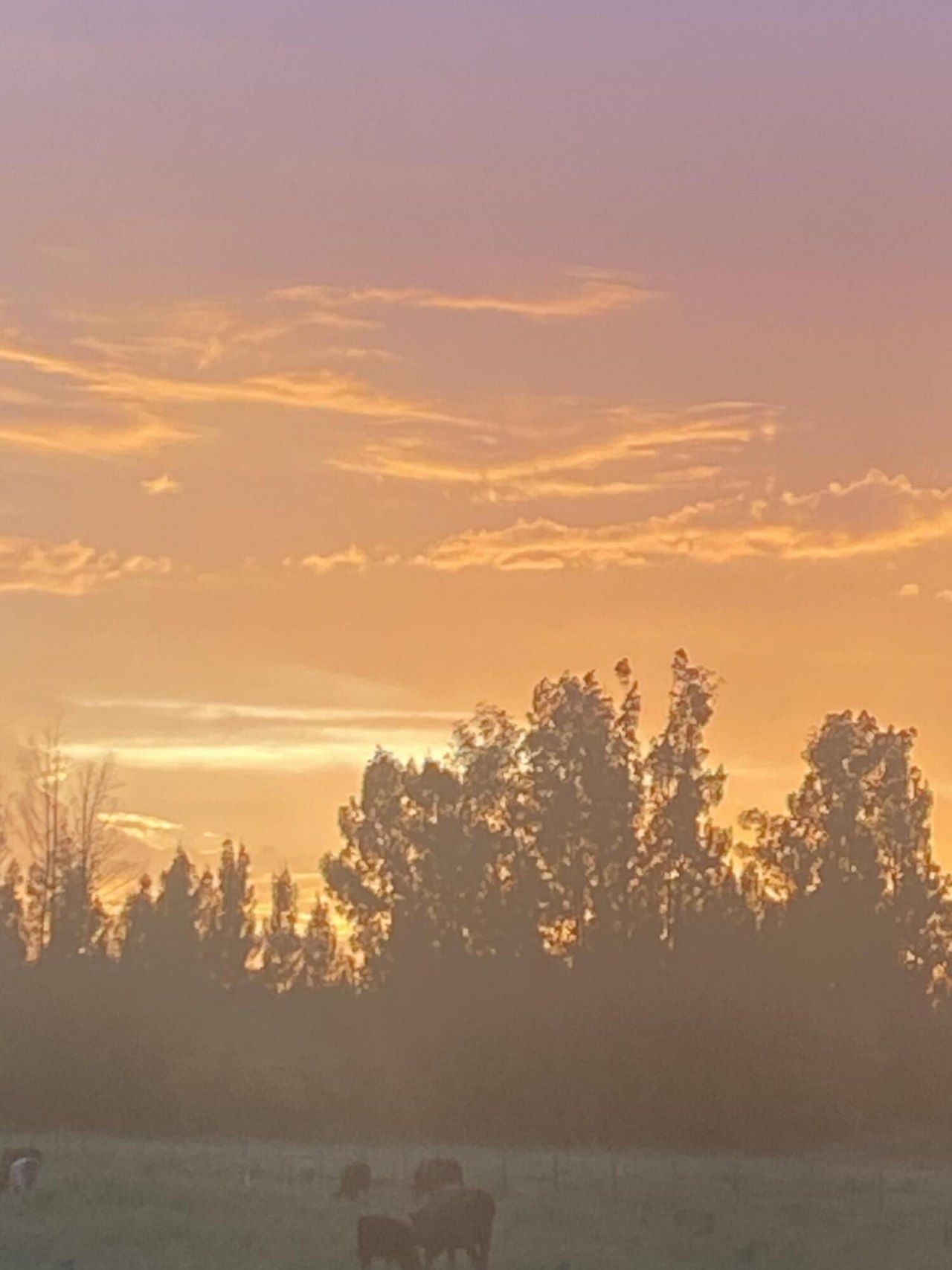 1425 S Header Canal Road, Fort Pierce, FL 34945 Photo