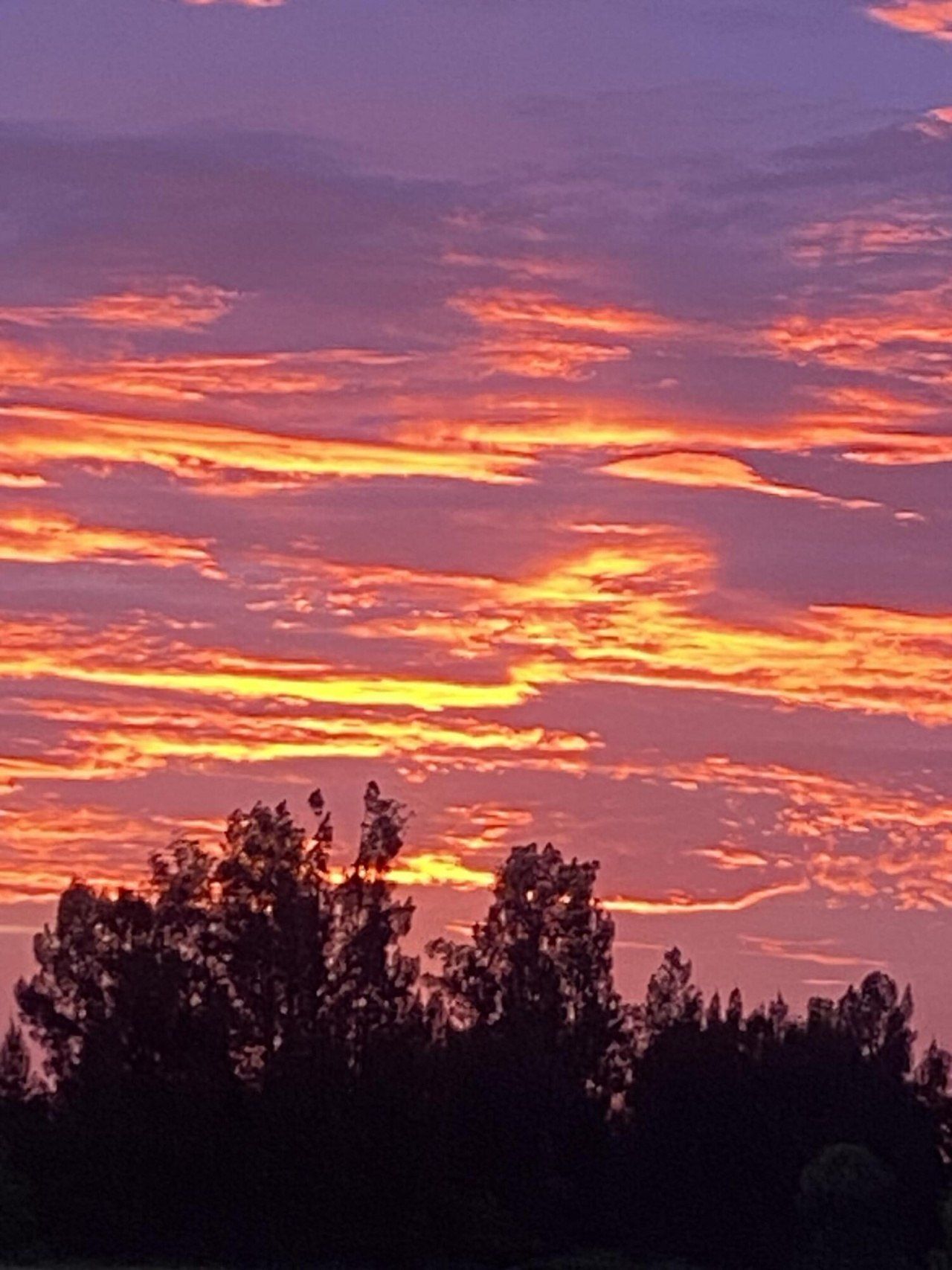 1425 S Header Canal Road, Fort Pierce, FL 34945 Photo