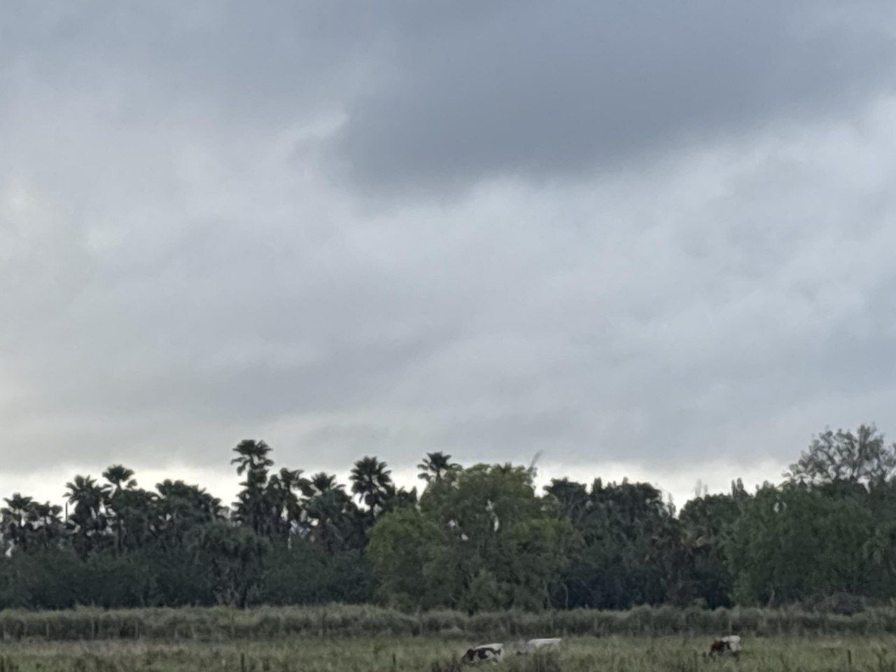 1425 S Header Canal Road, Fort Pierce, FL 34945 Photo