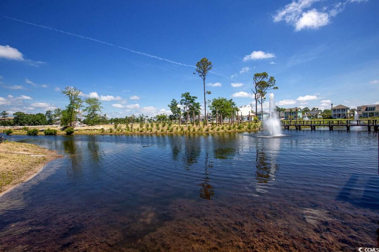 8156 Living Tide Dr. Photo 50