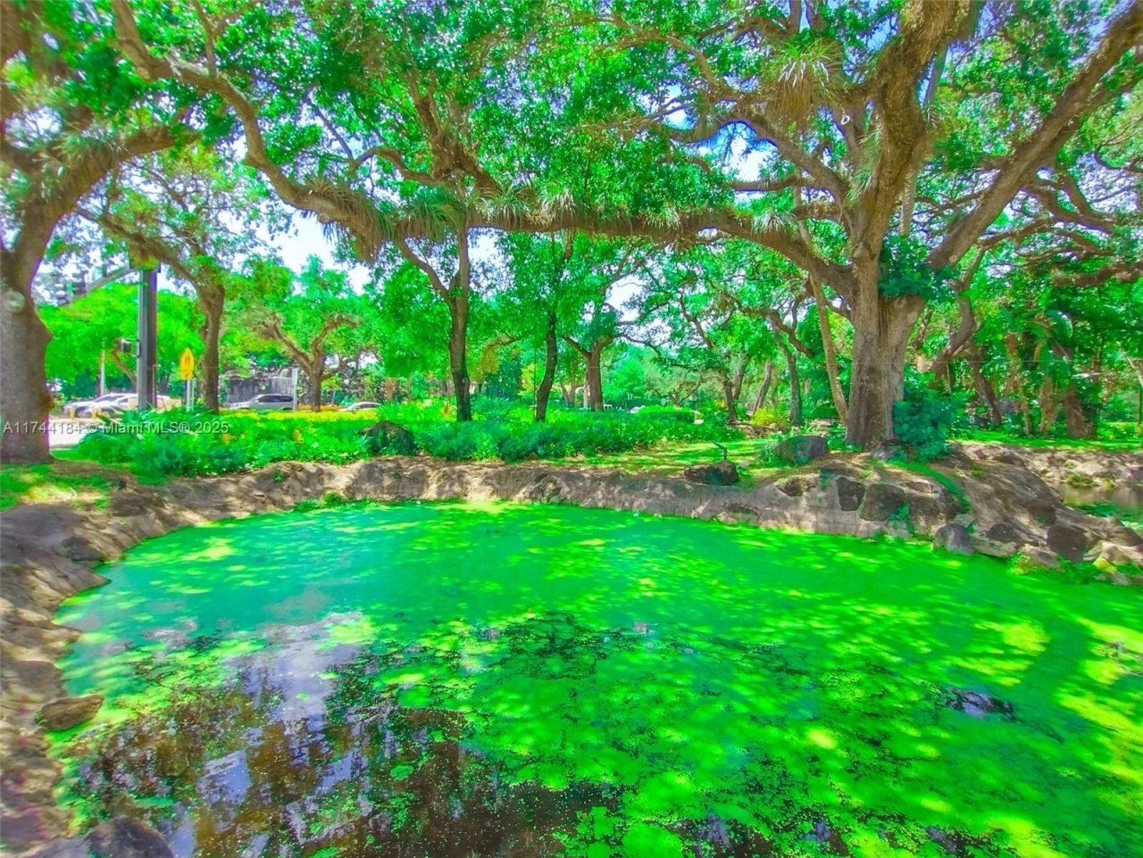 4174 Inverrary Drive, Unit 706, Lauderhill, FL 33319 Photo