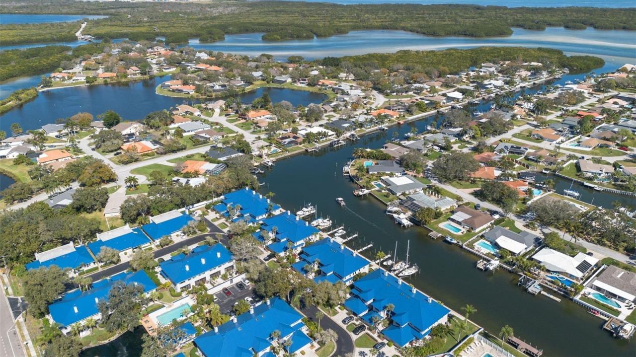 1661 Watermark Circle Ne, Unit C, Saint Petersburg, FL 33702 Photo