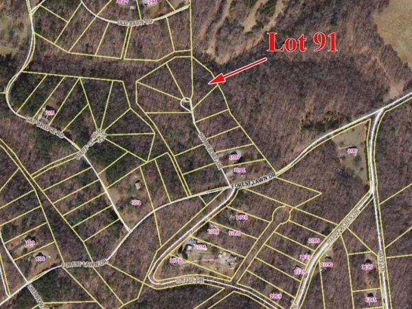 Lot 91 Summerset DR, Moneta, VA 24121