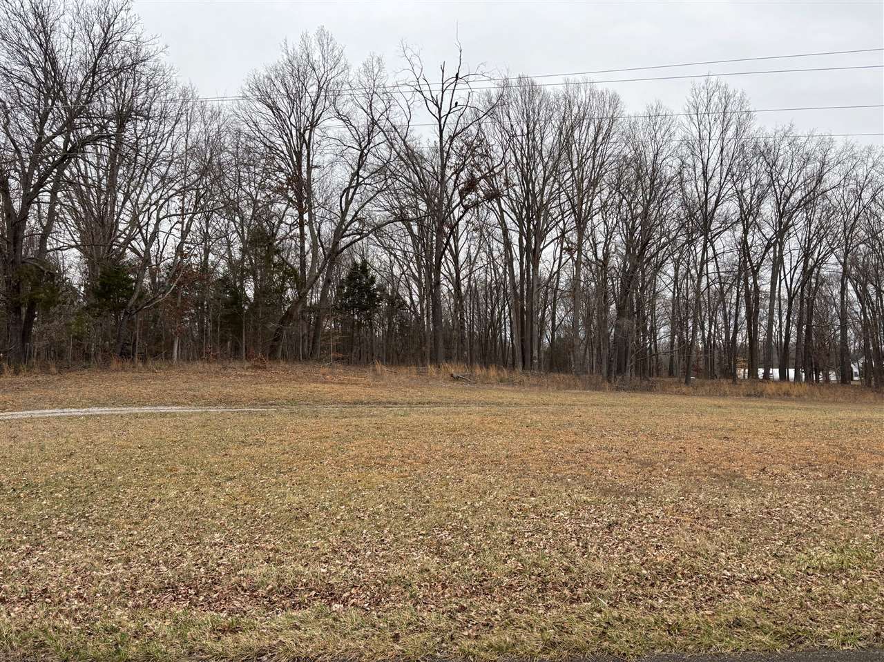 5306 Bowling Green Road, Scottsville, KY 42164 Main Photo