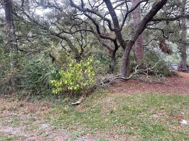Xxx Alapaha Avenue, Panacea, FL 32346 Photo
