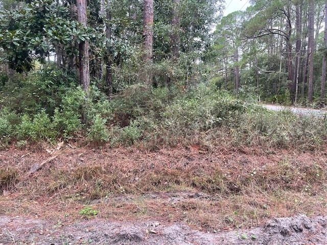 Xxx Alapaha Avenue, Panacea, FL 32346 Photo