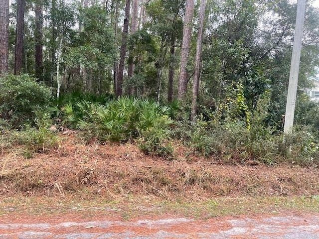 Xxx Chipola Street, Panacea, FL 32346 Photo