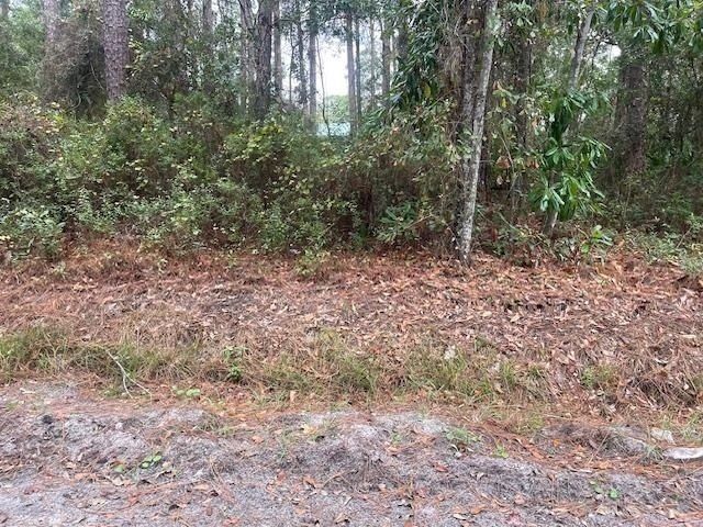Xxx Chipola Street, Panacea, FL 32346 Photo