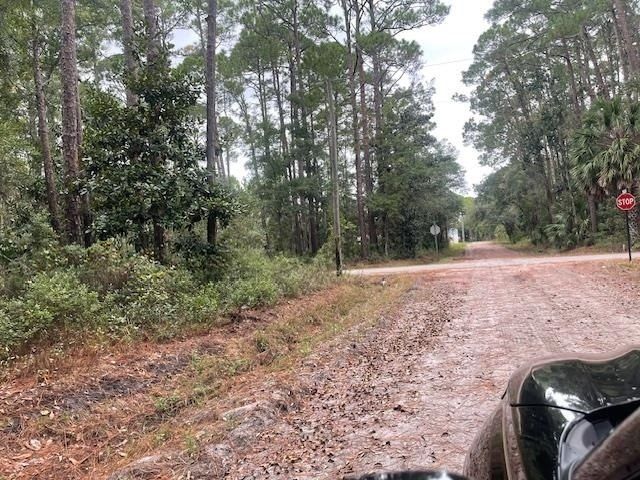 Xxx Chipola Street, Panacea, FL 32346 Photo