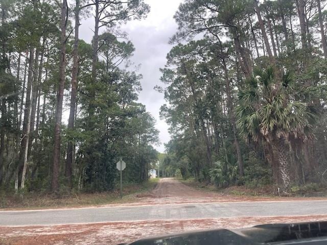 Xxx Chipola Street, Panacea, FL 32346 Photo