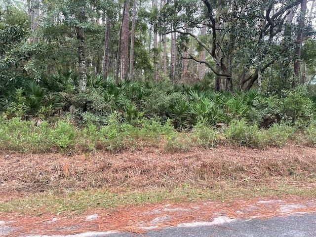Xxx Chipola Street, Panacea, FL 32346 Photo
