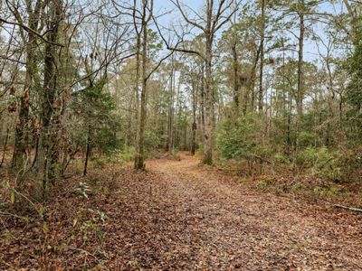 0 Santee River Road, Saint Stephen, SC 29479