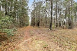 0 Santee River Road photo 4