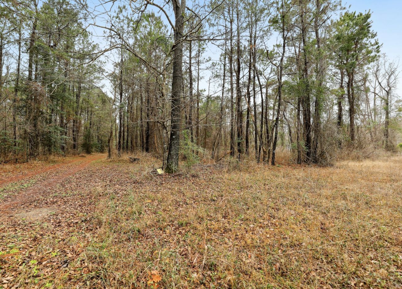 0 Santee River Road Photo 4