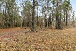 0 Santee River Road photo 4