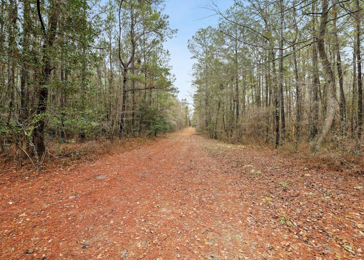 0 Santee River Road Photo 5