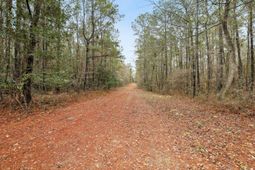 0 Santee River Road photo 4