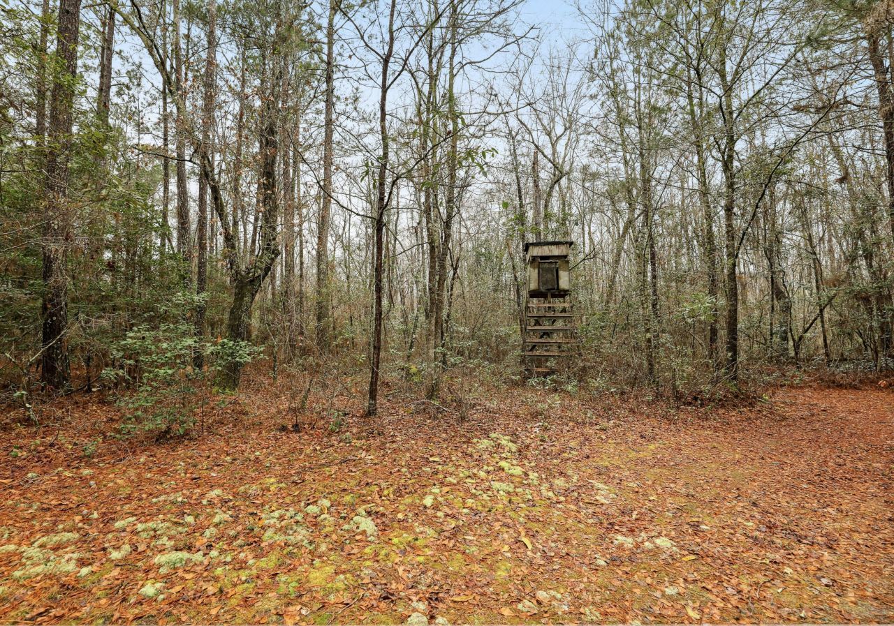 0 Santee River Road Photo 6