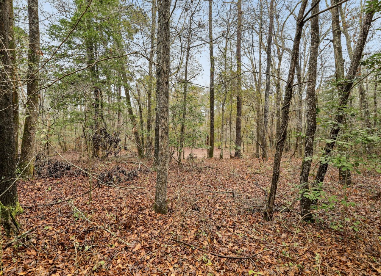 0 Santee River Road Photo 7