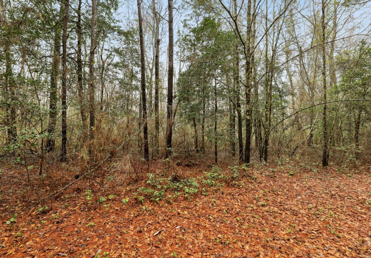 0 Santee River Road Photo 9