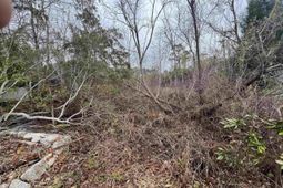 Tbd Heather Lakes Dr. photo 4