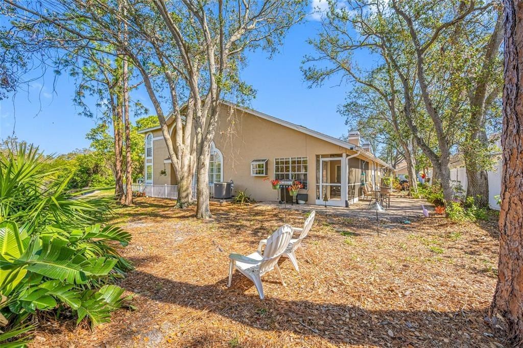 3042 Branch Drive, Clearwater, FL 33760 Photo