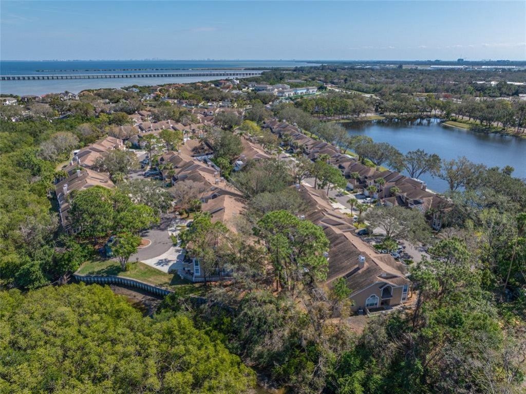 3042 Branch Drive, Clearwater, FL 33760 Photo