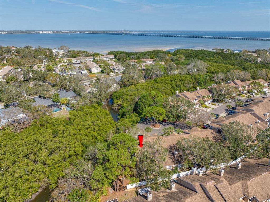 3042 Branch Drive, Clearwater, FL 33760 Photo