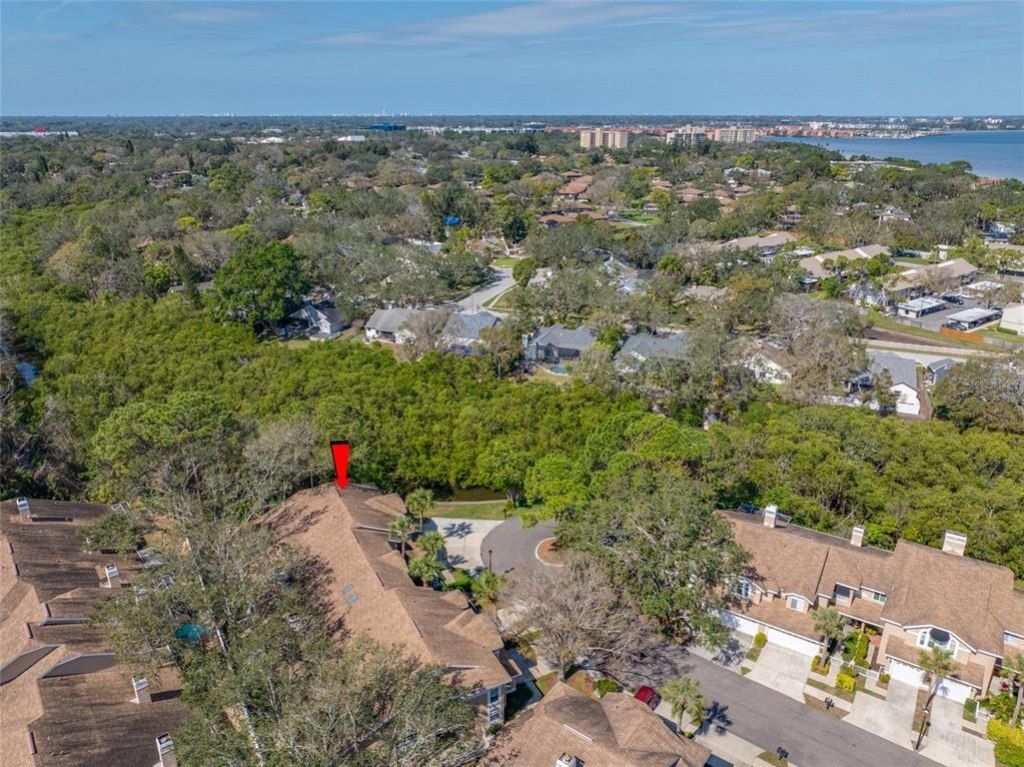 3042 Branch Drive, Clearwater, FL 33760 Photo