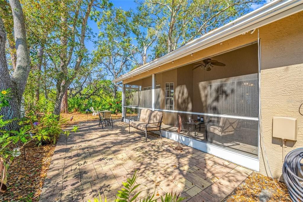 3042 Branch Drive, Clearwater, FL 33760 Photo