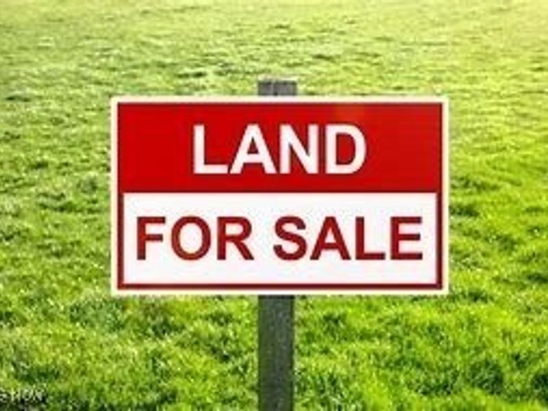 21181 Ball Avenue, Euclid, OH 44123 Photo 1