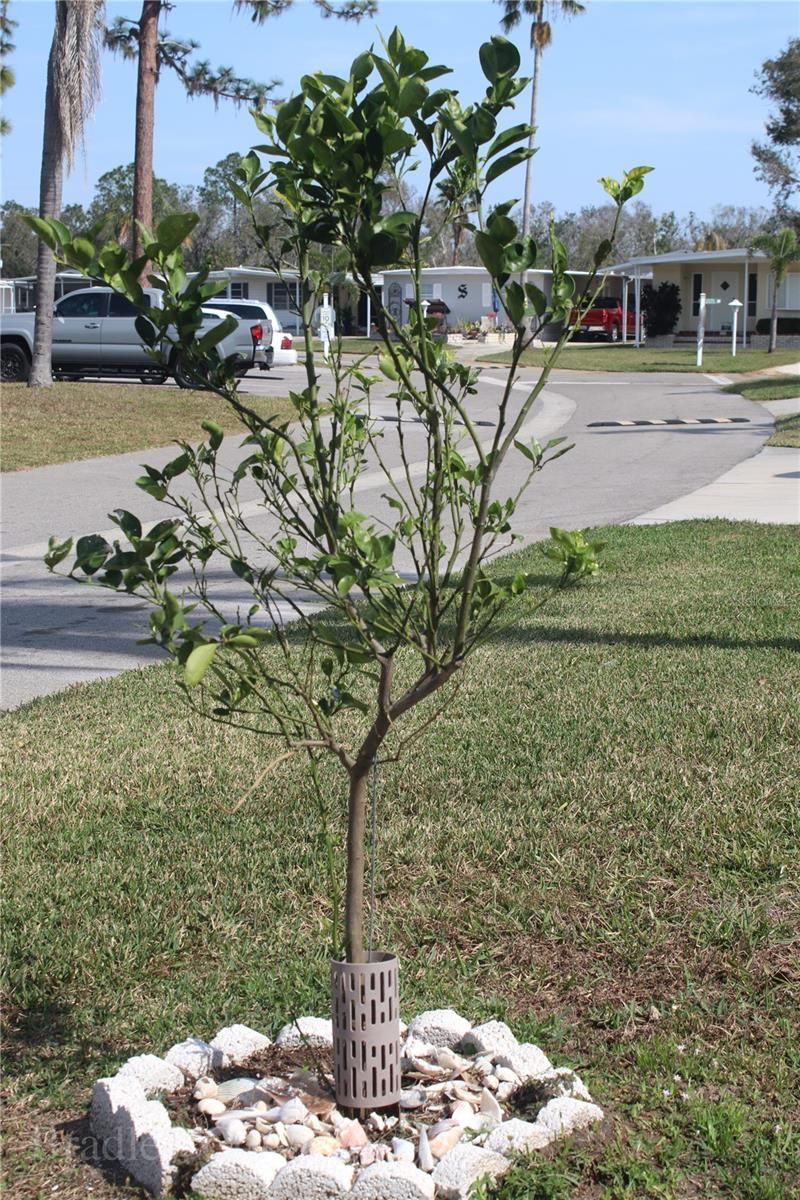 921 Faith Circle E, Unit 40, Bradenton, FL 34212 Photo