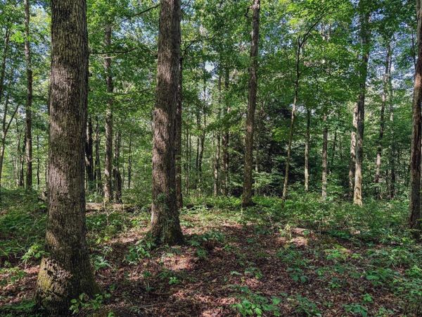 TBD Whitewater Parkway, Bruceton Mills, WV 26525